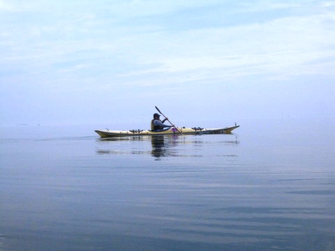 SAUGATUCK RIVER 2011 009