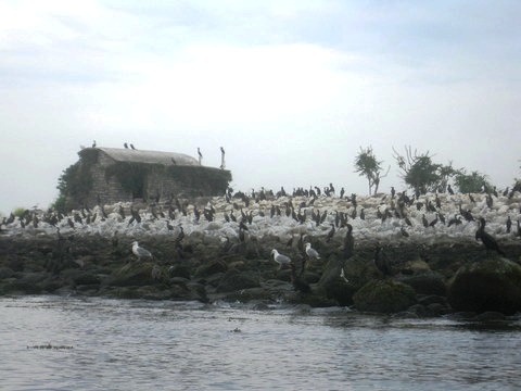 SAUGATUCK RIVER 2011 025